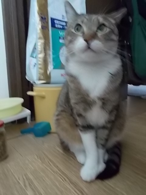 ニュースで天気の事ばかり_f0316507_20160174.jpg