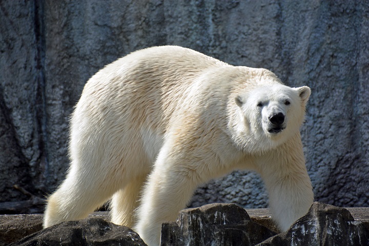 a0151913_042345.jpg