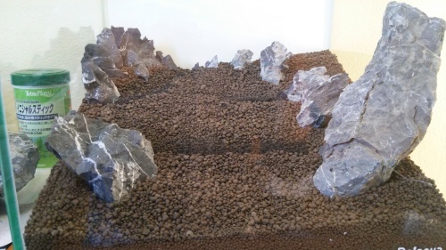 c0337613_20335531.jpg