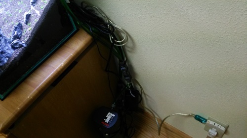 c0337613_22300265.jpg