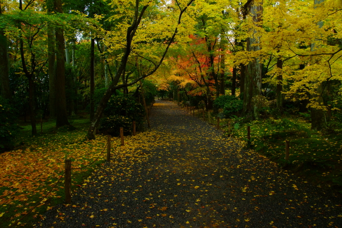 龍安寺_e0177413_13565181.jpg