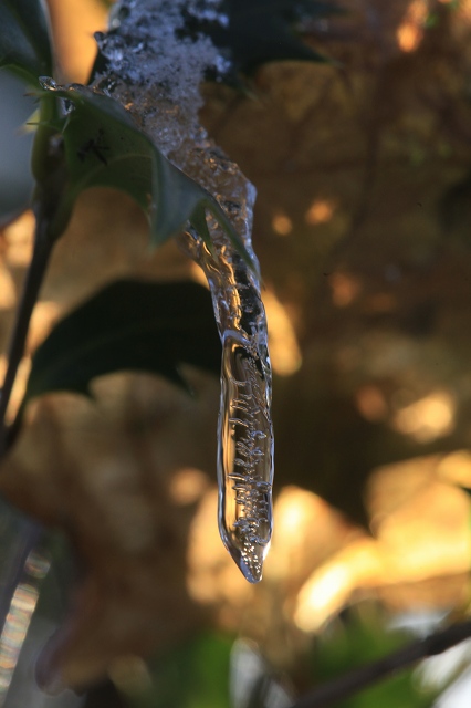 e0242721_875916.jpg