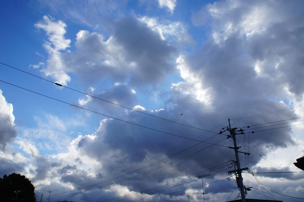 b0279623_1164587.jpg