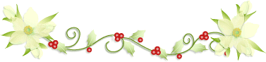 d0068023_12302413.gif