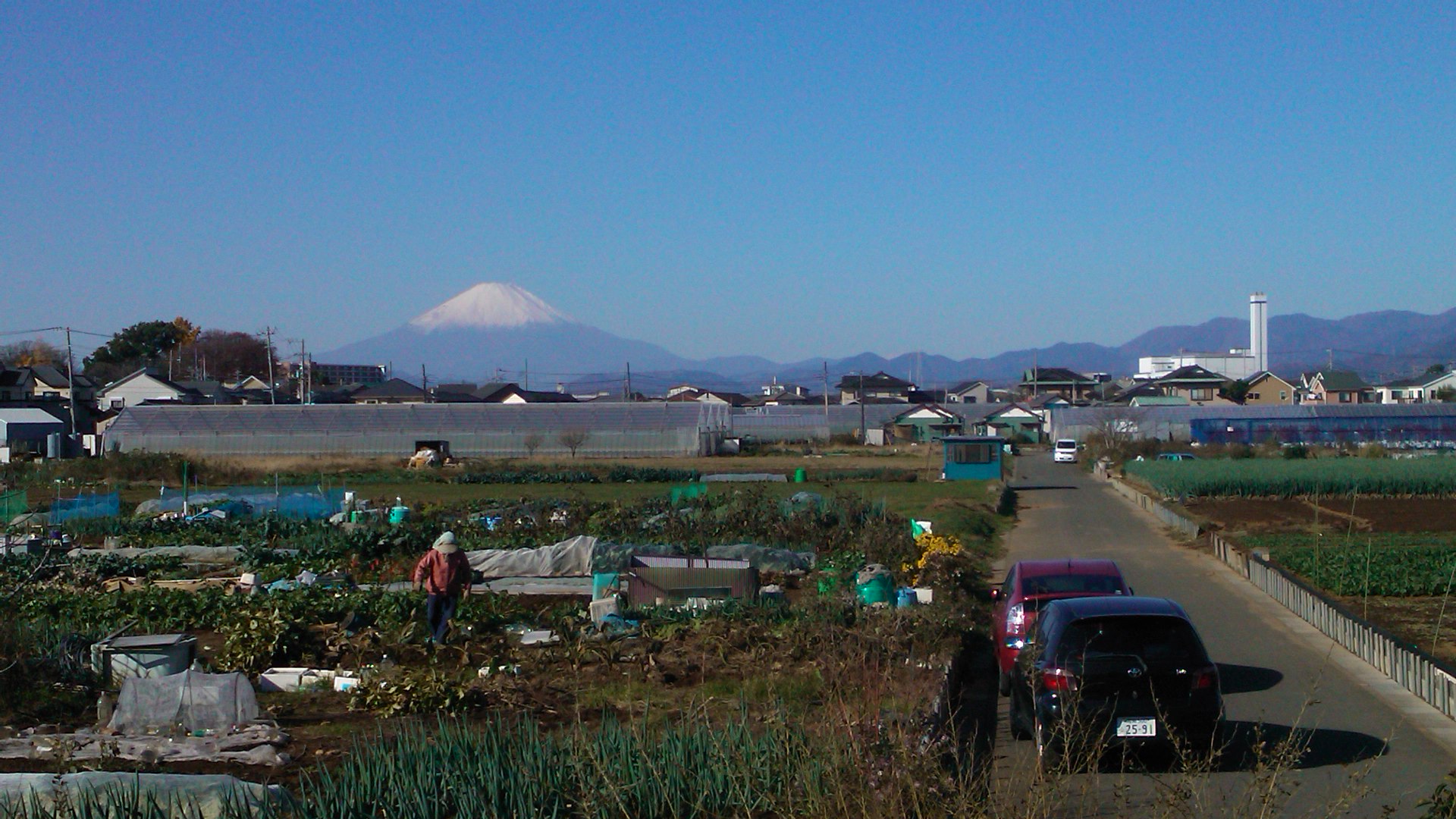 b0137932_11144510.jpg
