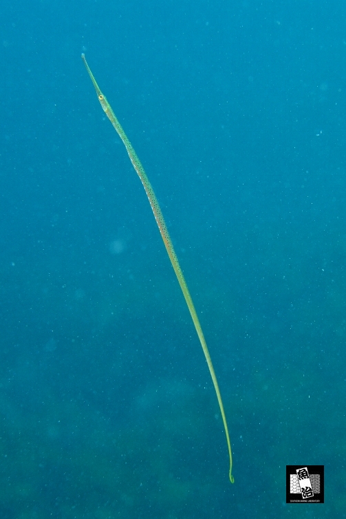 a0150039_10253760.jpg
