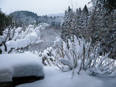 株式会社旬援隊の敷地内の様子 積雪の朝と生産者と消費者の本当の橋渡しのお話し_a0254656_18561165.jpg