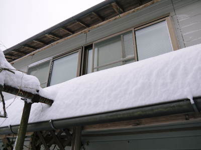 株式会社旬援隊の敷地内の様子 積雪の朝と生産者と消費者の本当の橋渡しのお話し_a0254656_19102447.jpg