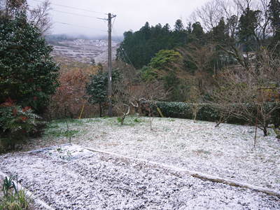 株式会社旬援隊の敷地内の様子 積雪の朝と生産者と消費者の本当の橋渡しのお話し_a0254656_1919483.jpg