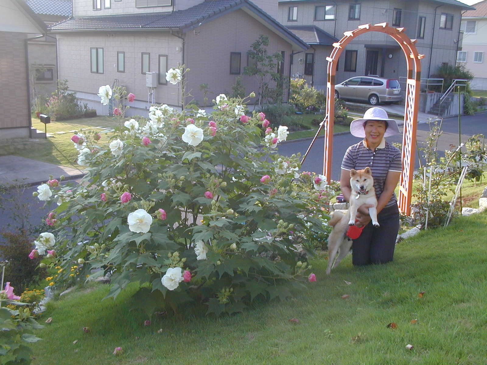 ’14,12,18(木)愛ちゃんとこころちゃんのこと!_f0060461_2052425.jpg
