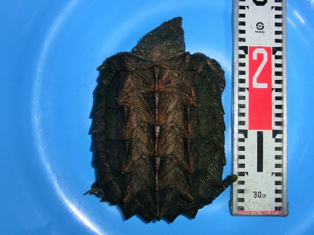c0105569_2152185.jpg