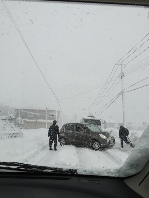 雪の1日でした。_d0182179_20195782.jpg