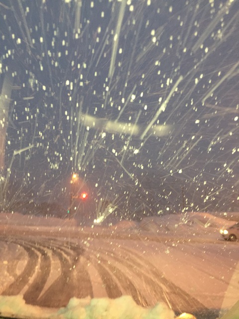 雪の1日でした。_d0182179_20211817.jpg