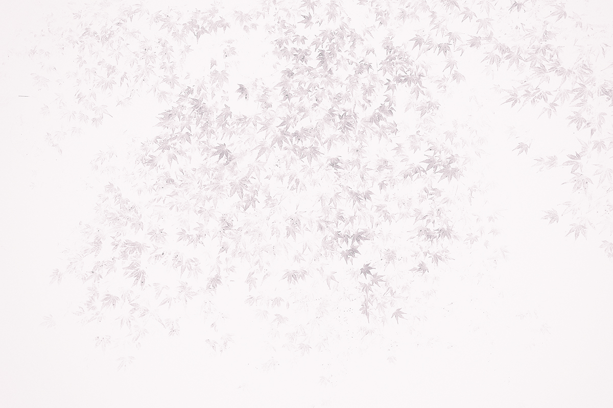 a0141586_643435.jpg