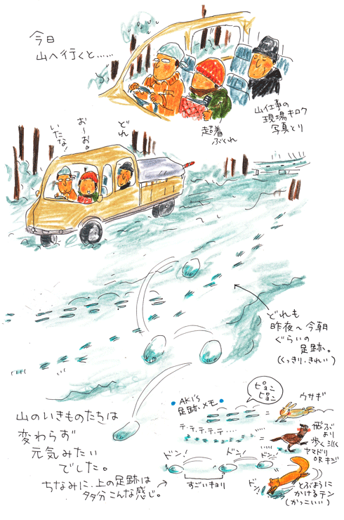 冬の山のお楽しみ_f0236291_10273964.gif