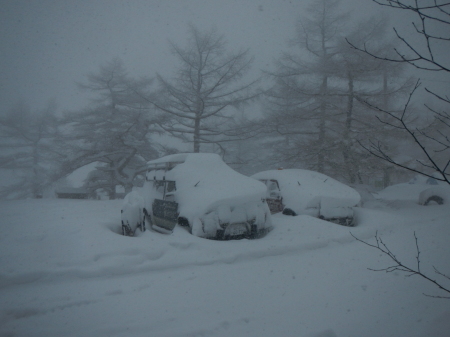 雪降りの1日_e0120896_16124203.jpg