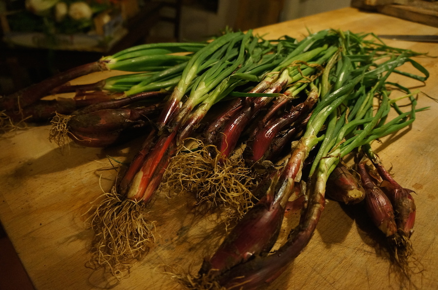野菜と果物沢山♩_f0106597_19592937.jpg