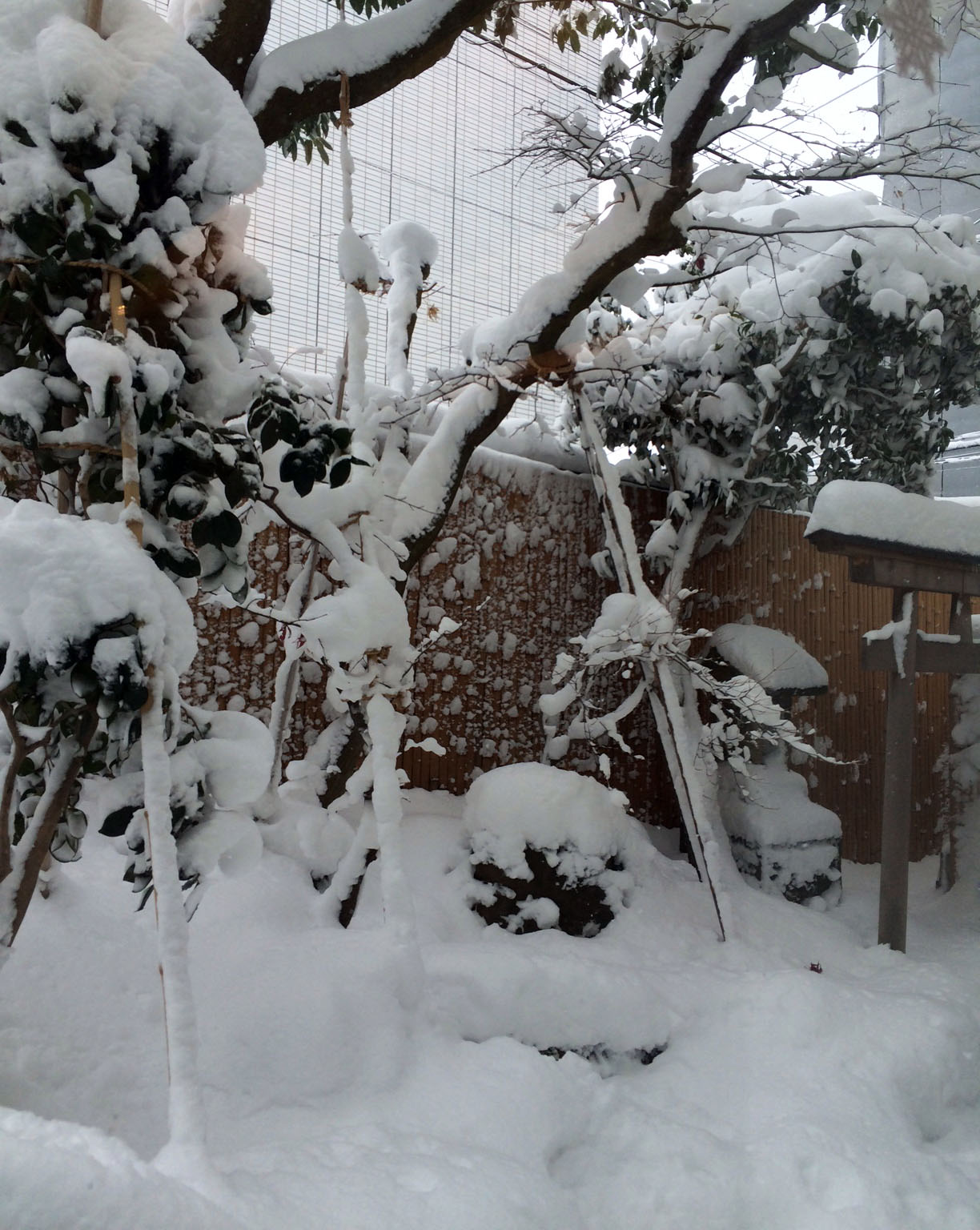 会津も大雪です～★_c0145608_136789.jpg