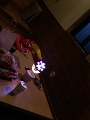 d0106911_08371.jpg