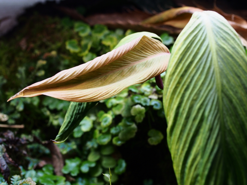 c0156313_17315896.jpg