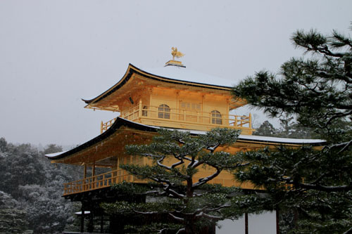 雪の金閣寺_e0048413_18271554.jpg