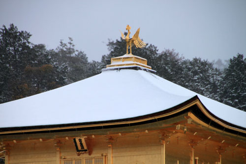 雪の金閣寺_e0048413_18282034.jpg