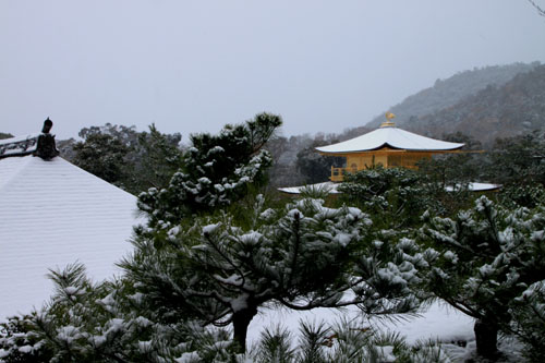 雪の金閣寺_e0048413_18284634.jpg