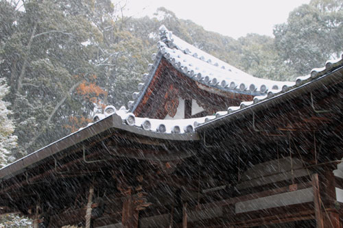 雪の金閣寺_e0048413_1828558.jpg