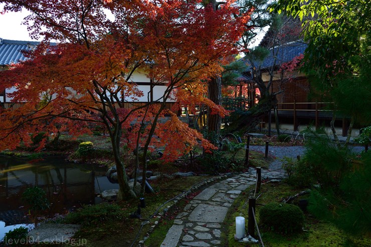 京都 等持院 ～紅葉～_d0319222_946097.jpg