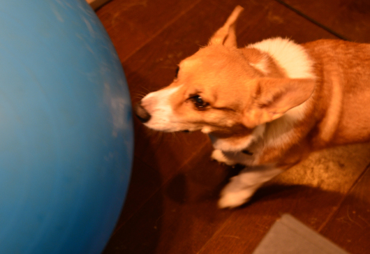 b0310424_11284850.jpg