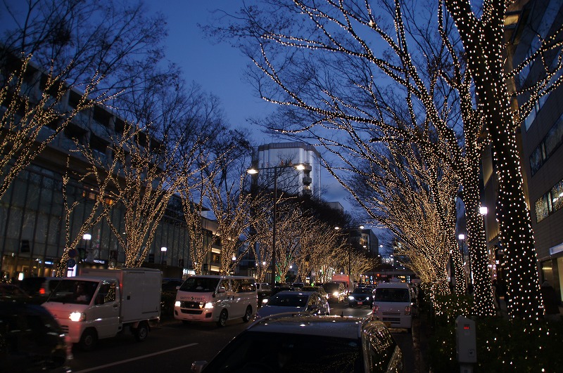 a0122932_17302437.jpg