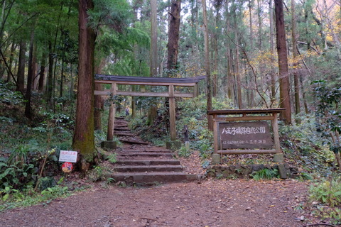 心源院から八王子城山　〜11月30日(日)〜　その②_b0281732_61733100.jpg