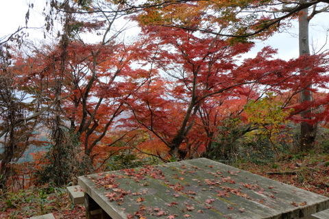 心源院から八王子城山　〜11月30日(日)〜　その②_b0281732_6181799.jpg