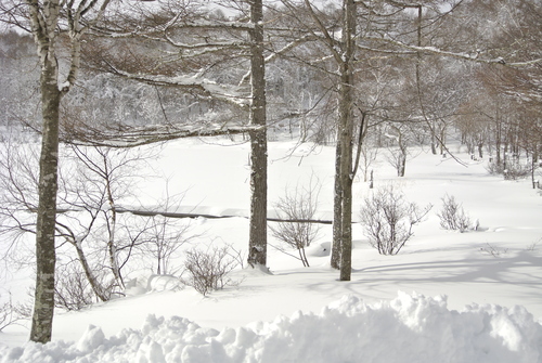  車の雪掻き　後半戦_d0170835_1935766.jpg