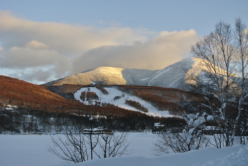  車の雪掻き　後半戦_d0170835_19374292.jpg