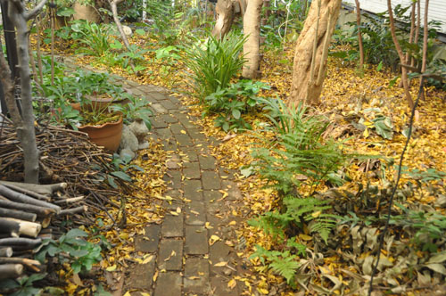 f0302638_17271369.jpg