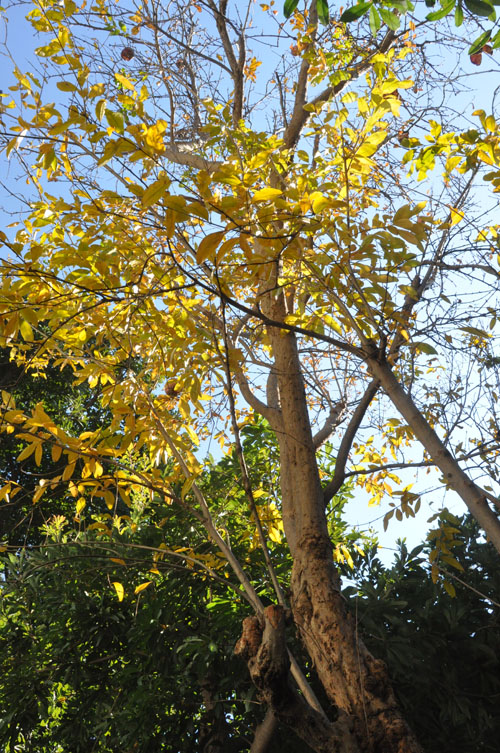 f0302638_17272769.jpg