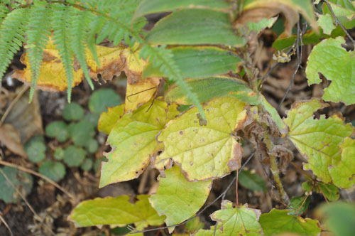 f0302638_17275156.jpg