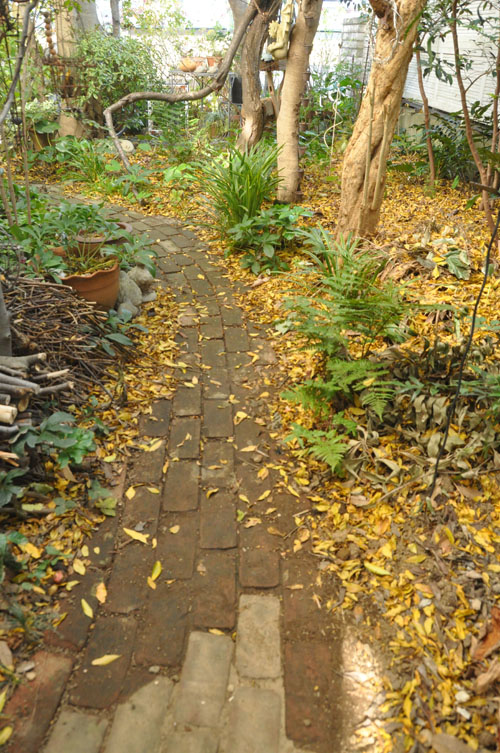 f0302638_1727815.jpg