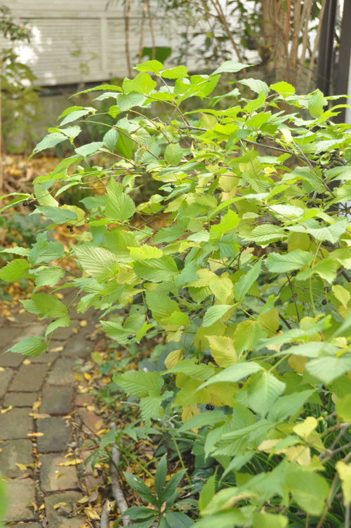 f0302638_17282219.jpg