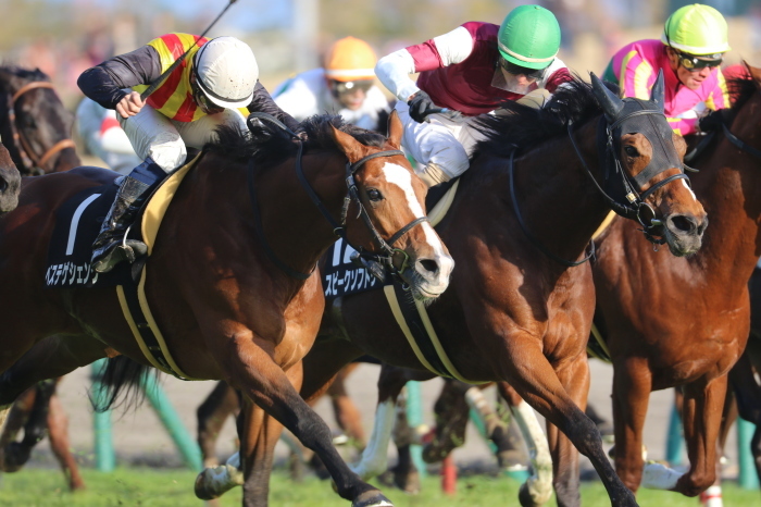 14 チャンピオンズカップ みっちぃの競馬写真ブログ