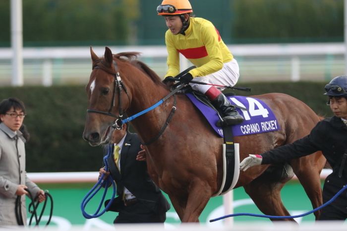 14 チャンピオンズカップ みっちぃの競馬写真ブログ