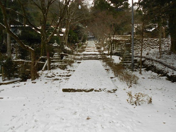 a0206345_1953141.jpg