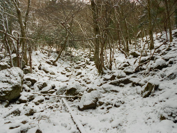 a0206345_2011485.jpg