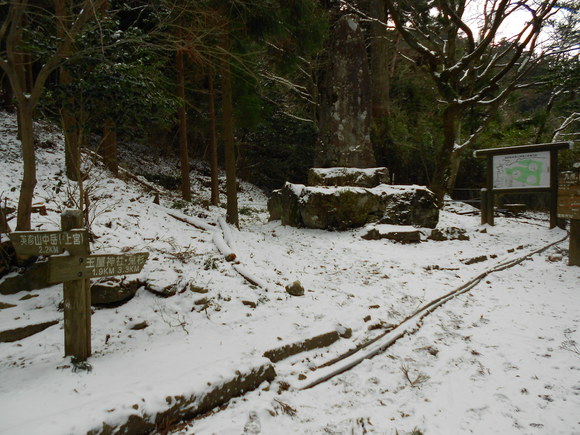 a0206345_2021214.jpg