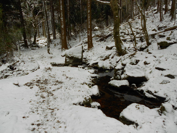 a0206345_2082171.jpg