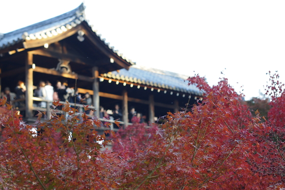 ２０１４秋の京都_e0321845_0252410.jpg