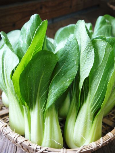 チンゲン菜 無農薬・無加温チンゲン菜 定植後の様子と販売スタート時期のご案内_a0254656_17134298.jpg
