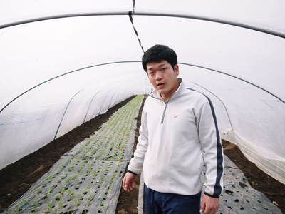 チンゲン菜 無農薬・無加温チンゲン菜 定植後の様子と販売スタート時期のご案内_a0254656_17504774.jpg