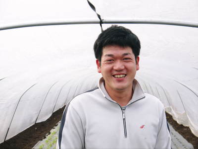 チンゲン菜 無農薬・無加温チンゲン菜 定植後の様子と販売スタート時期のご案内_a0254656_1832412.jpg